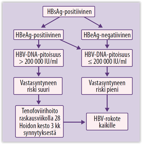 B-hepatiitin Kantajan Raskaus