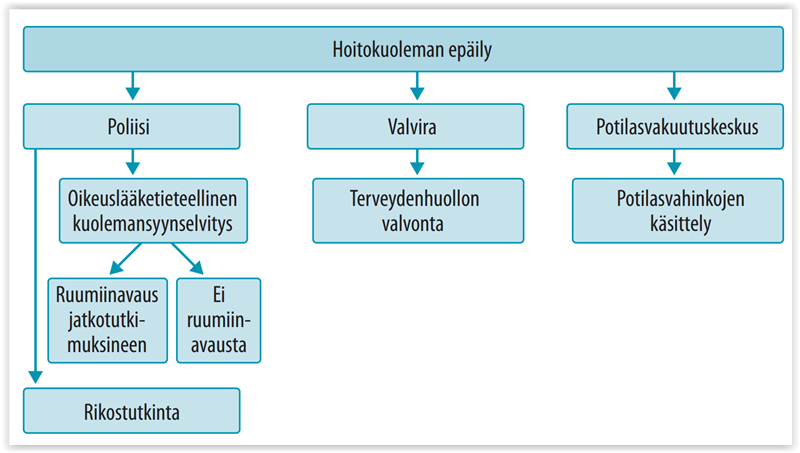 Hoidosta Hautaan - Lääketieteellisen Hoidon Aiheuttamat Kuolemat Ja ...