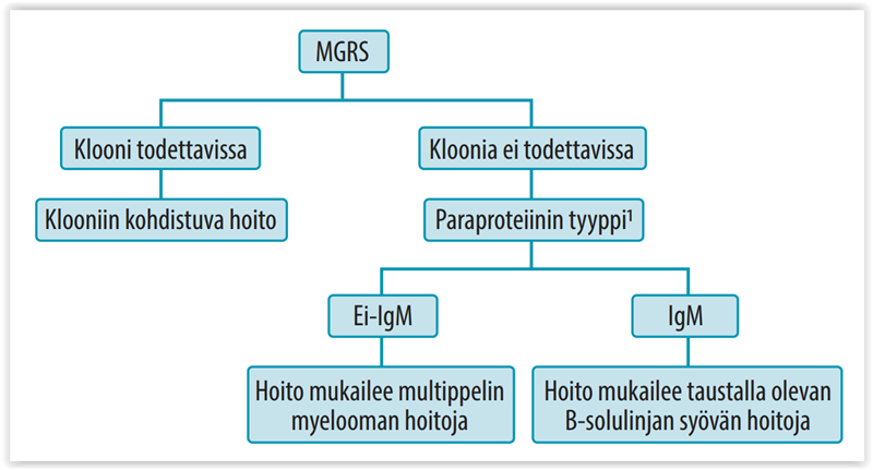 Munuaisten Kannalta Merkittävä Monoklonaalinen Gammapatia